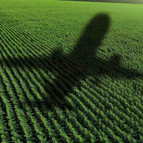 Airplane shadow over field